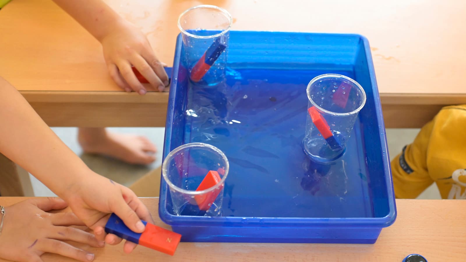 Ein blaues Wasserbecken. Darin stehen drei transparente Plastikbecher, in ihnen rotblaue Magnete. Kinderhände halten weitere Magnete, man sieht nur die Hände.