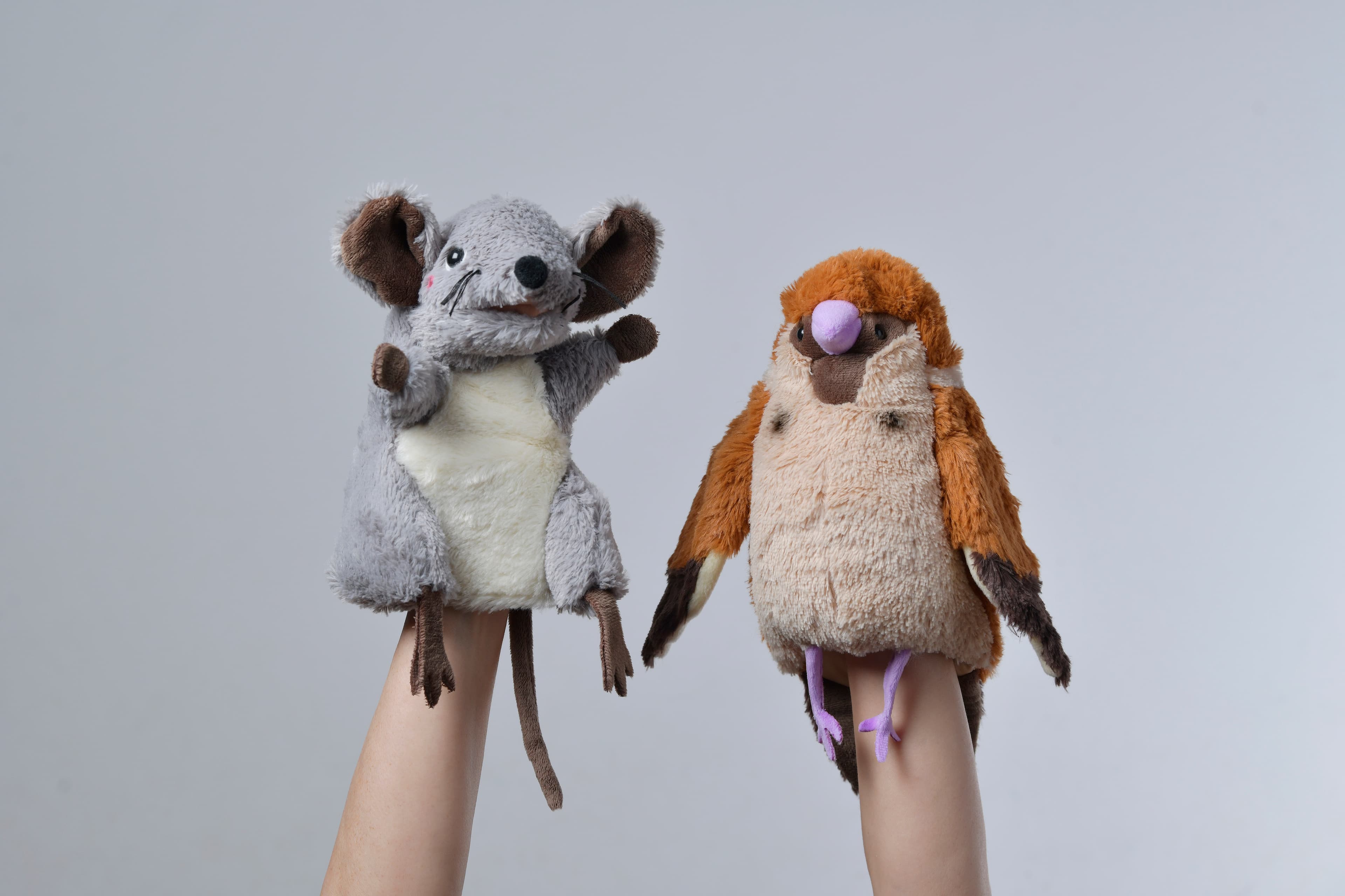 Handpuppen Kiko und Molli.
